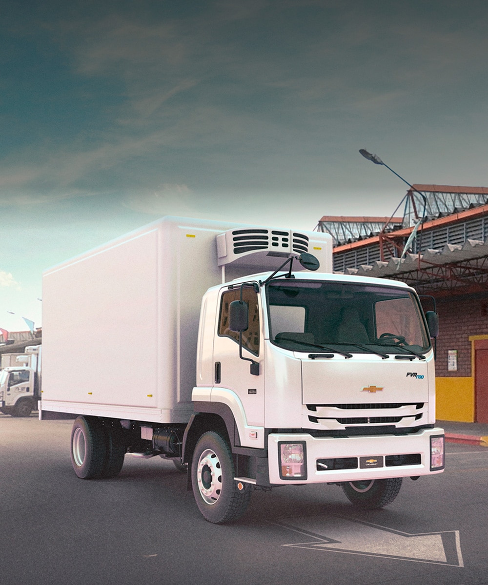 Camion Chevrolet FVR 1730 EIII Largo