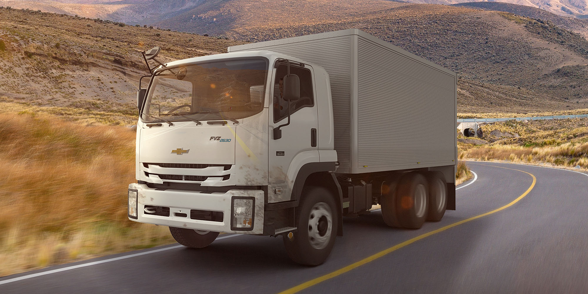 Camion Chevrolet FVZ 2630 EIII Largo Diseño