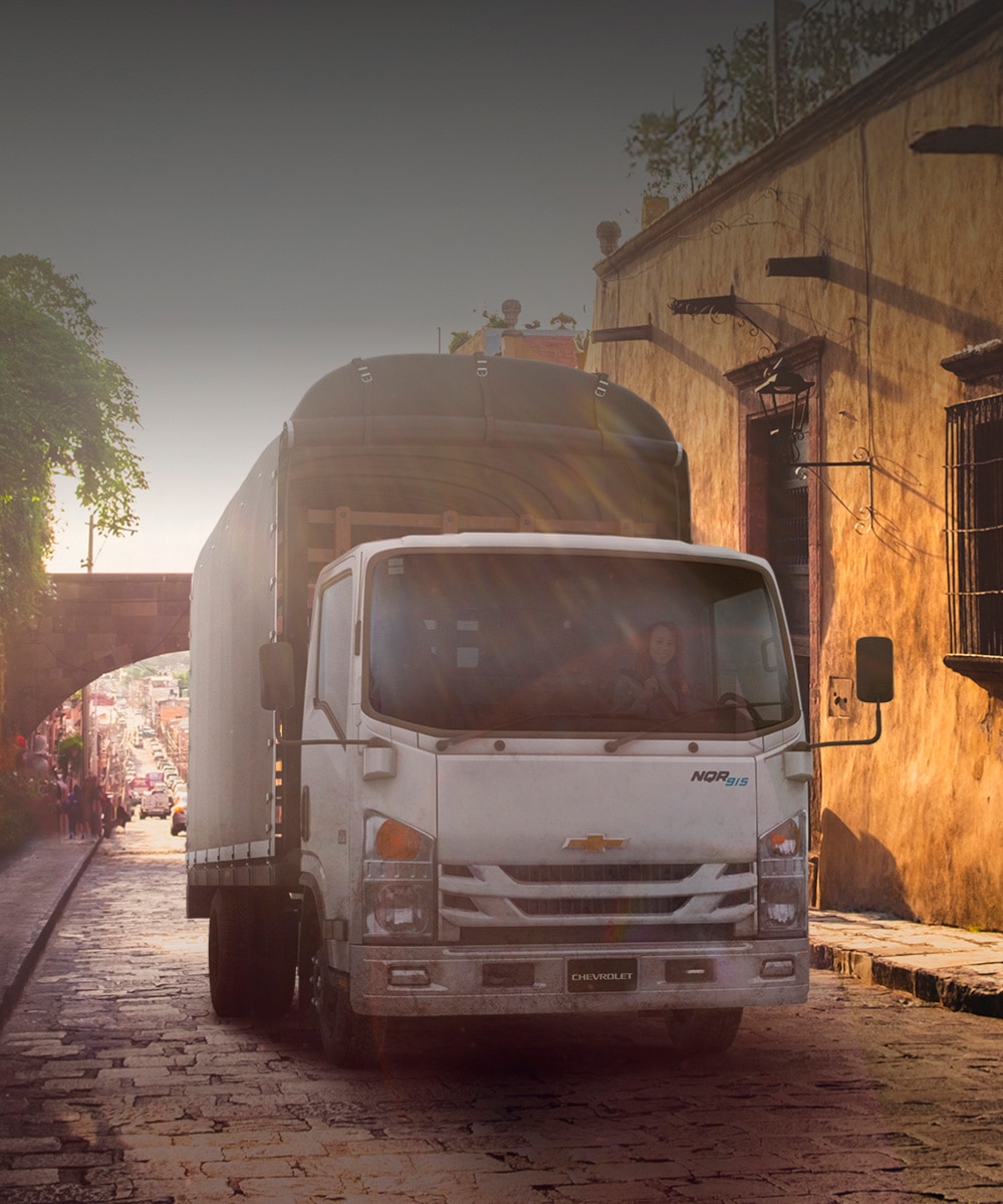 Camión Chevrolet NQR 915 EIII